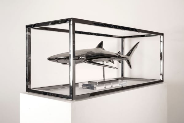 Christopher Schulz - Stingray, 2022