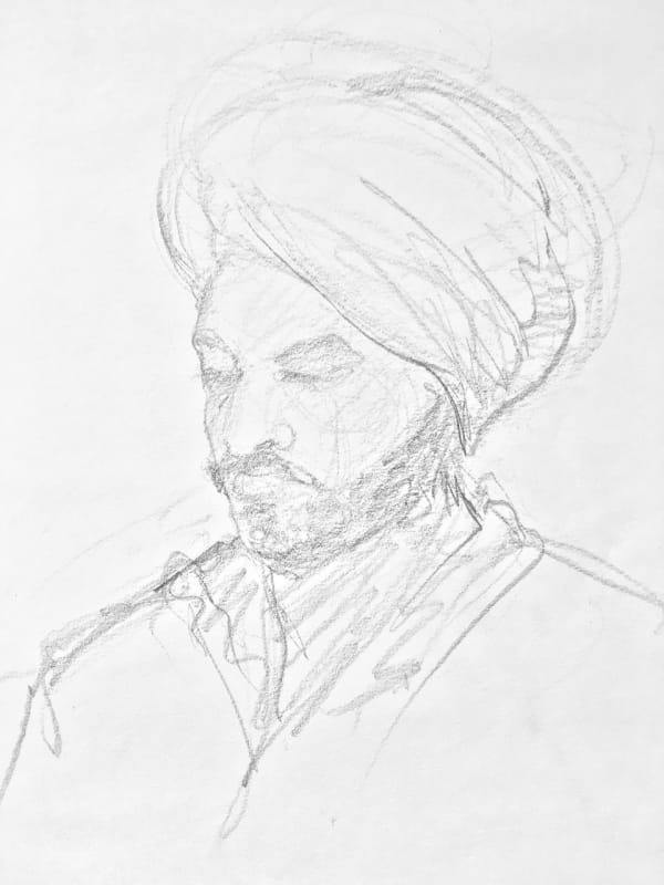 Traveler on the Train