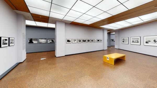 X99Anogseay Photo 06 Jpg