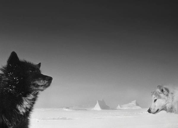 Interview: Ragnar Axelsson