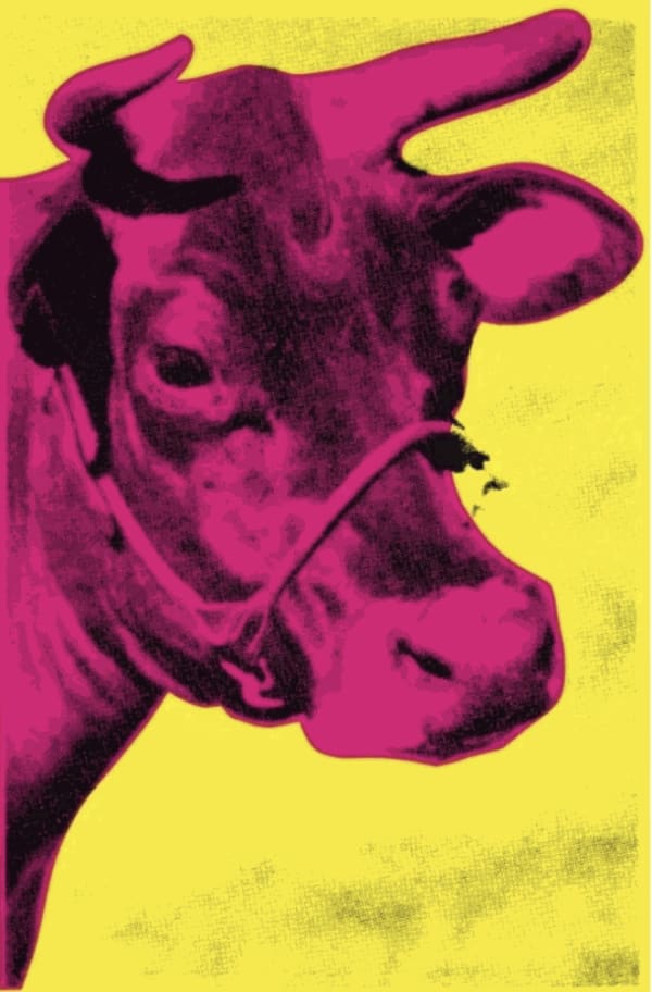 Cow (Ed 4/4), 1971 Print 46 x 30 inches