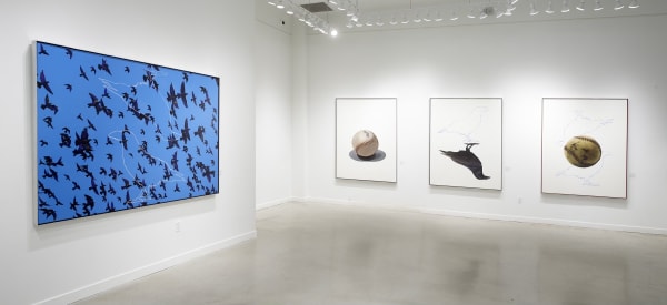 9Def1036 B146 4A41 82D5 48C06Da2642C