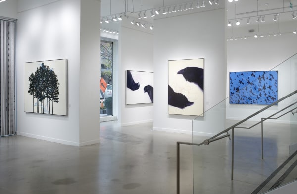 Ef095Cc7 Bc34 4573 8438 E5F7Bbc76D29