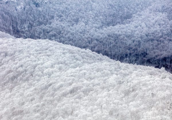 Fraiche neige, Sutton, QC, 2021 24 x 36 in., Ed. 10 40 x 60 in., Ed. 10