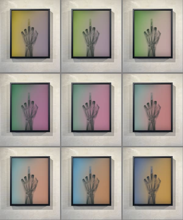 The Bird in Colour, 2023 14 4/5 x 12 in., Ed. 25 chaque / each