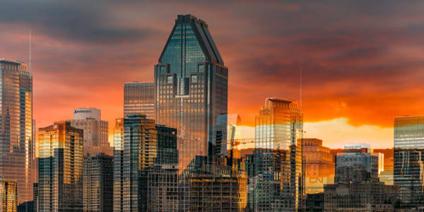 Flamboyant (Montréal, Canada), 2023 24 x 48 in., Ed. 5 40 x 80 in., Ed. 5 48 x 96 in., Ed. 1