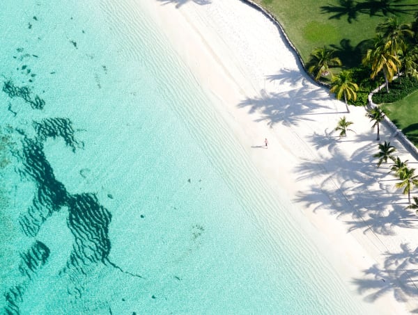 ALone and happy, 2020 30 x 40 in., Ed. 7 43 x 57 in., Ed. 7 58 x 77 in., Ed. 7 70 x 93 in., Ed. 7