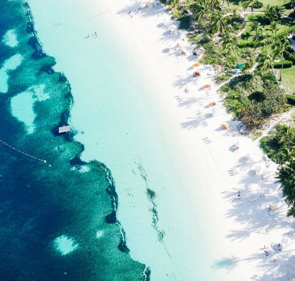 the brightness you bring, 2020 30 x 31 1/2 in., Ed. 7 41 x 43 in., Ed. 7 55 x 58 in., Ed. 7 70 x 73 in., Ed. 7