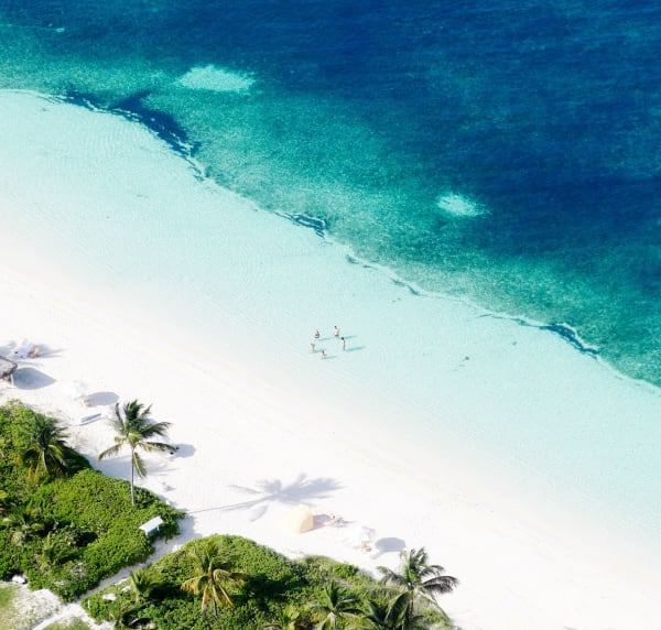 waiting on the world, 2020 30 x 31 1/2 in. , Ed. 7 41 x 43 in., Ed. 7 55 x 58 in., Ed. 7 70 x 73 in., Ed. 7