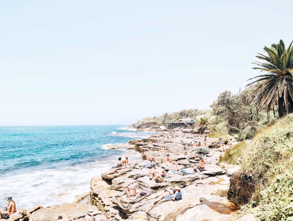 the sun, palms and you, 2021 30 x 40 in., Ed. 7 43 x 57 in., Ed. 7 58 x 77 in., Ed. 7 70 x 93 in., Ed. 7