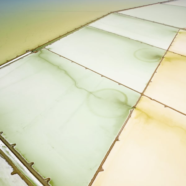 Saltern Study 05 Great Salt Lake, UT, 2015 21 x 21 in., Ed. 7 & 2AP 32 x 32 in., Ed. 7 & 2AP 44 x 44 in., Ed. 10 & 2AP 59 x 59 in., Ed. 5 & 2AP