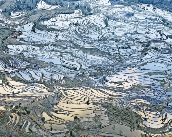 Rice Terraces, (Laohuzui I), Yunnan, China, 2013 21 x 26 in., Ed. 7 & 2AP 59 x 73 1/2 in., Ed. 2AP