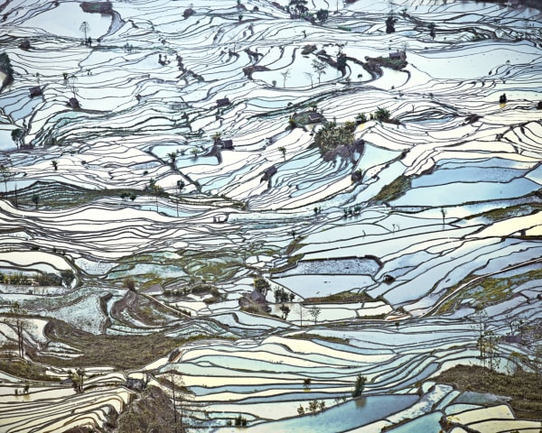 Rice Terraces, (Laohuzui Ii), Yunnan, China, 2013 21 x 26 in., Ed. 7 & 2AP 32 x 40 in., Ed. 7 & 2AP 44 x 55 in., Ed. 10 & 2AP 59 x 73 1/2 in., Ed. 5 & 2AP