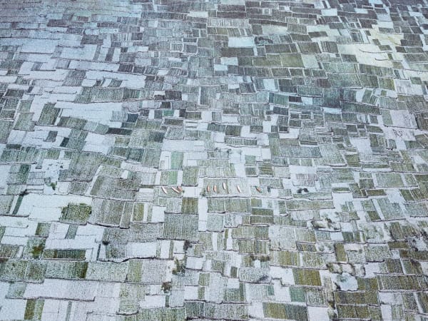 Seaweed Farms I, Bali, Indonesia, 2014 21 x 26 in., Ed. 7 & 2AP 32 x 40 in., Ed. 7 & 2AP 44 x 55 in., Ed. 10 & 2AP 59 x 73 1/2 in., Ed. 5 & 2AP