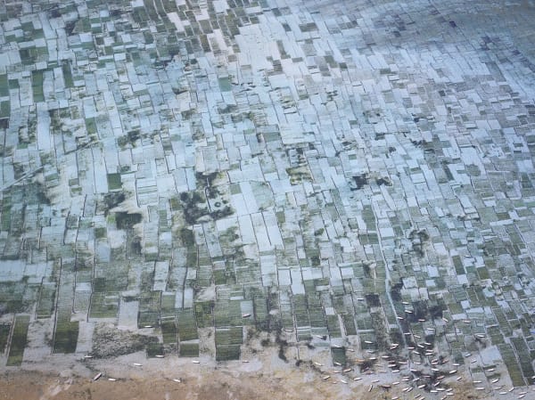 Seaweed Farms Ii, Bali, Indonesia, 2014 21 x 26 in., Ed. 7 & 2AP 32 x 40 in., Ed. 7 & 2AP 44 x 55 in., Ed. 10 & 2AP 59 x 73 1/2 in., Ed. 5 & 2AP