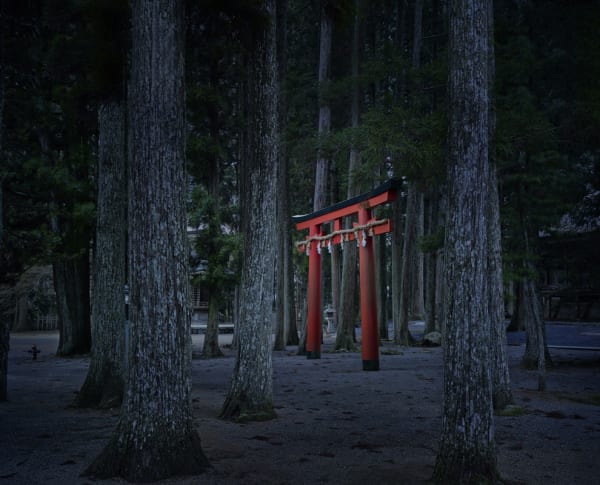 Torii Gate, Koyasan, Japan, 2013 21 x 26 in., Ed. 7 & 2AP 32 x 40 in., Ed. 7 & 2AP 44 x 55 in., Ed. 10 & 2AP 59 x 73 1/2 in., Ed. 5 & 2AP