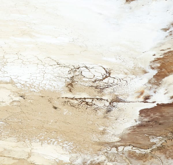 salts of the earth I, 2017 30 x 31 1/2 in. , Ed. 7 41 x 43 in., Ed. 7 55 x 58 in., Ed. 7