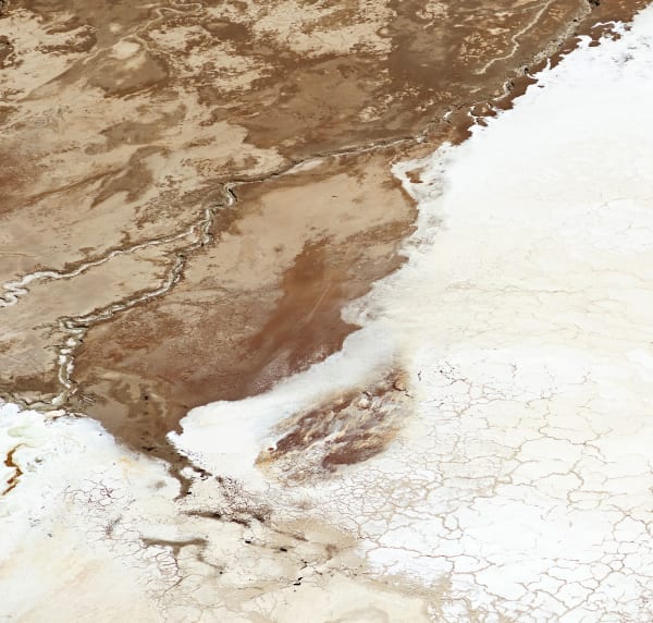 salts of the earth II, 2017 30 x 31 1/2 in. , Ed. 7 41 x 43 in., Ed. 7 55 x 58 in., Ed. 7