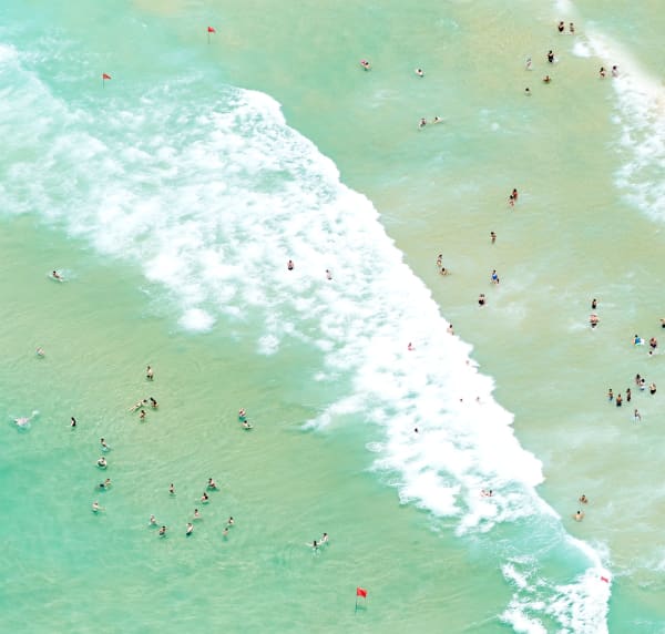 swimmers of the sea, 2017 30 x 31 1/2 in. , Ed. 7 41 x 43 in., Ed. 7 55 x 58 in., Ed. 7