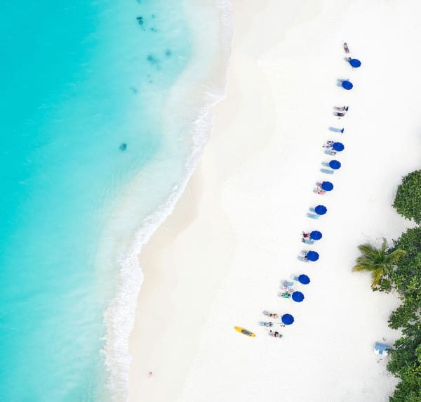 take me there, 2018 30 x 31 1/2 in. , Ed. 7 41 x 43 in., Ed. 7 55 x 58 in., Ed. 7 67 x 70 in., Ed. 7