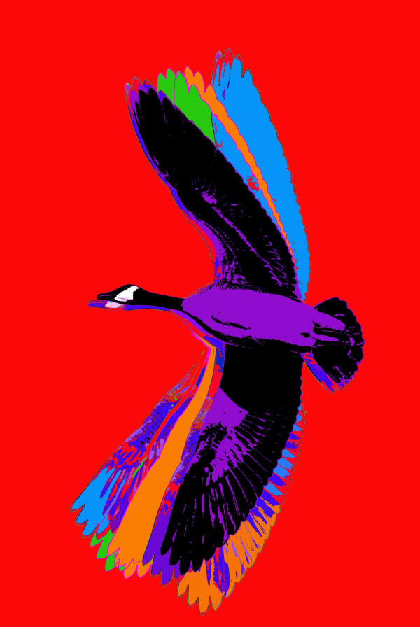 Flight (from Made in Canada part 2, Canada Goose - RED) 190808, 2019 54 x 36 in., Ed. 15 & 3AP 72 x 48 in., Ed. 15 & 3AP