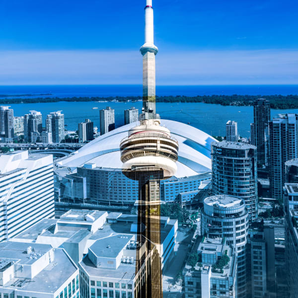 Icons (Toronto, Canada), 2025 24 x 24 in., Ed. 5 40 x 40 in., Ed. 5 48 x 48 in., Ed. 1