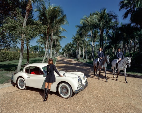 Life in Wellington, 2024 32 x 40 in., Ed. 10 48 x 60 in., Ed. 10 60 x 75 in., Ed. 10