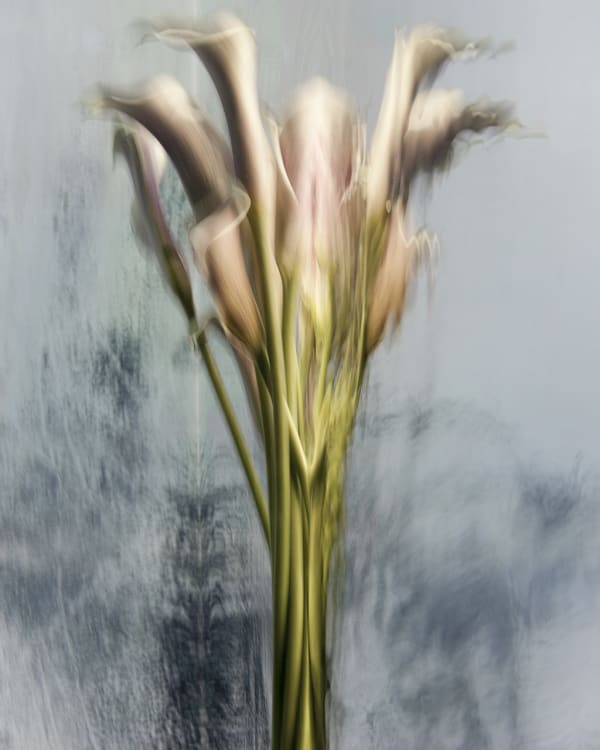 Constance, 2020 40 x 32 in., Ed. 8 & 2AP 54 x 43 in., Ed. 8 & 2AP 64 x 51 in., Ed. 8 & 2AP