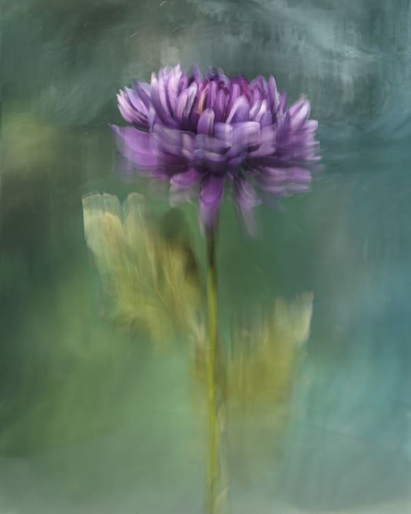 Gertrude, 2020 40 x 32 in., Ed. 8 & 2AP 54 x 43 in., Ed. 8 & 2AP 64 x 51 in., Ed. 8 & 2AP