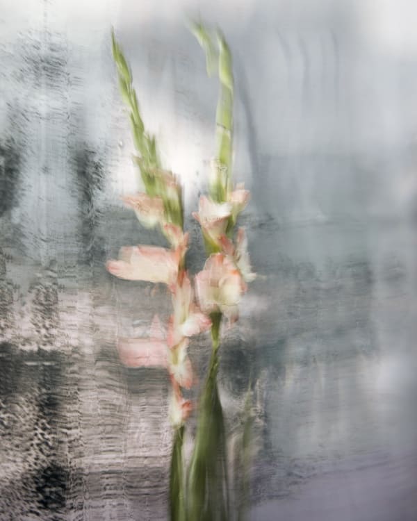 Lucinda, 2020 40 x 32 in., Ed. 8 & 2AP 54 x 43 in., Ed. 8 & 2AP 64 x 51 in., Ed. 8 & 2AP