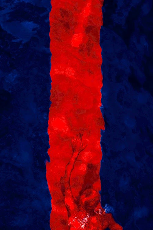 Playing with Fire (Lenticular), 2010 40 x 30 in., Ed. 7 & 2AP 67 x 45 in., Ed. 5 & 2AP