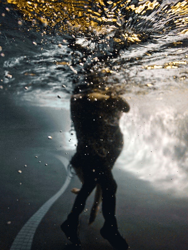 Duet (Lenticular), 2008 40 x 30 in., Ed. 7 & 2AP 72 x 48 in., Ed. 5 & 2AP