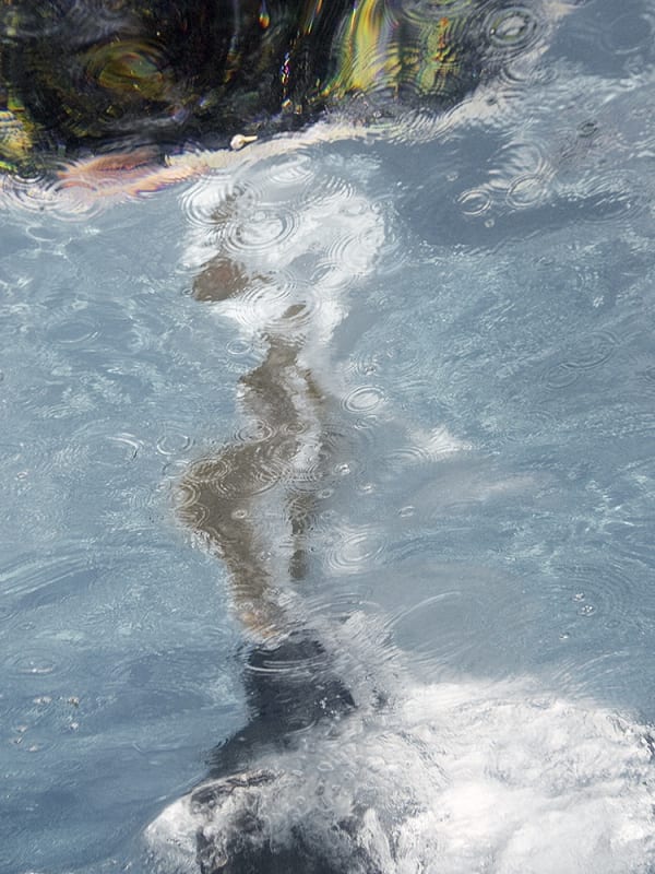 Phantasie, 2008 40 x 30 in., Ed. 7 & 2AP 54 x 40 in., Ed 5 & 2AP 64 x 48 in., Ed. 5 & 2AP 80 x 60 in., Ed. 3 & 2AP