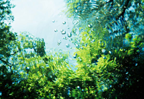 Surface Tension, 2002 28 x 40 in., Ed. 15 & 2AP 38 x 54 in., Ed. 5 & 2AP 44 1/2 x 64 in., Ed. 5 & 2AP 56 x 80 in., Ed. 3 & 2AP