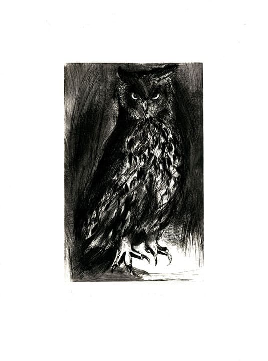 Owl, 1996 20 x 14 1/2 in., Ed. 20