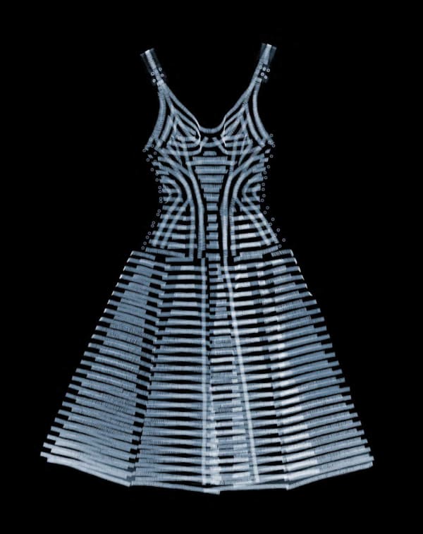 Alexander McQueen Cleo Dress, 2004 59 x 47 in., Ed. 5