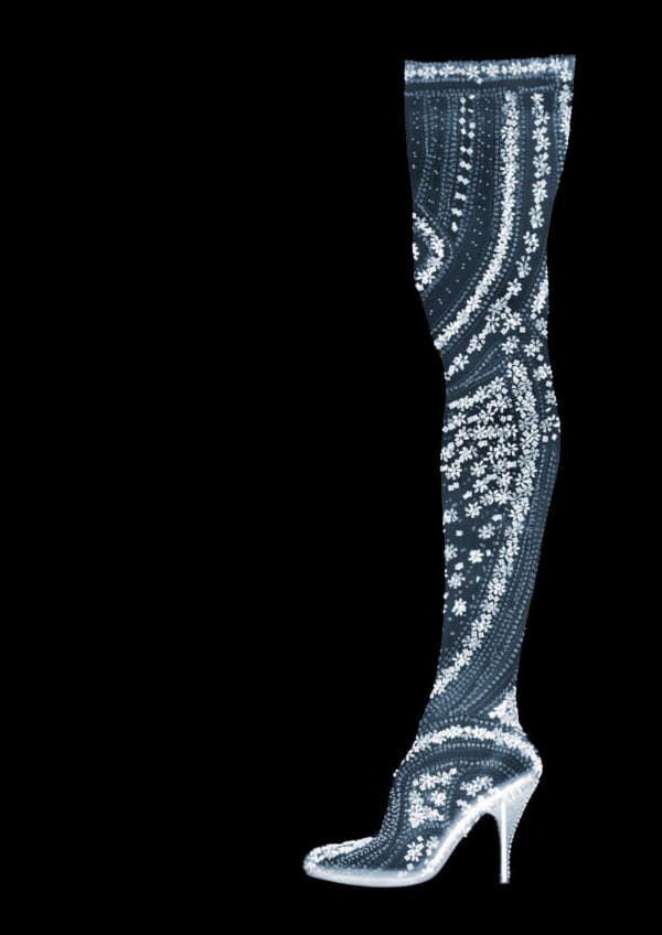 Alexander McQueen Stocking Shoe, 2011 33 x 23 in., Ed. 25 47 x 33 in., Ed. 5