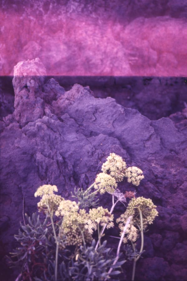 Entre Le Mot et Le Monde