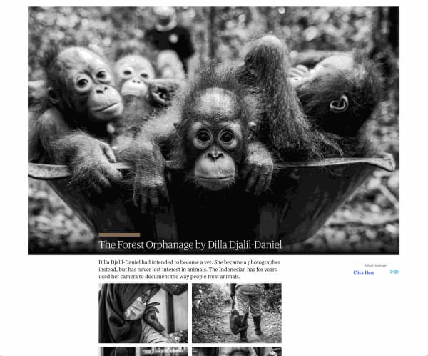 Prize-winning photos of peace – in pictures