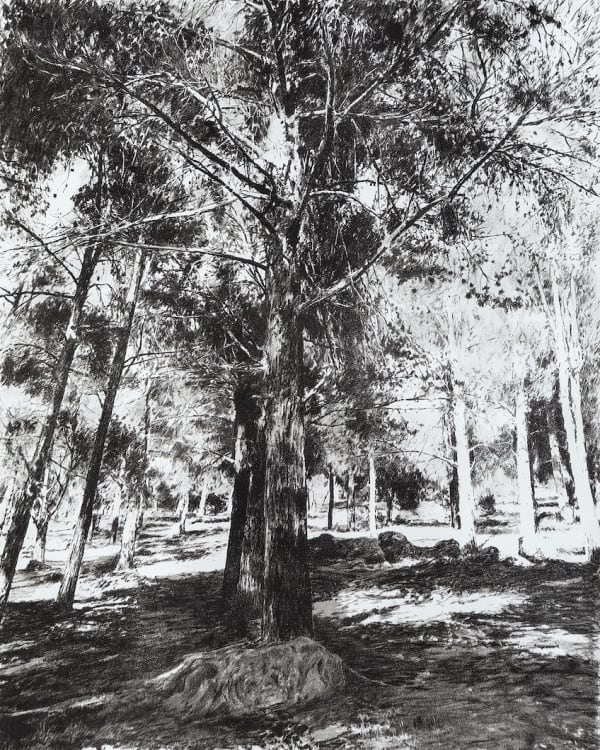 ABDELKÉBIR RABI - Boulemane 1 - Le Rocher , 2024