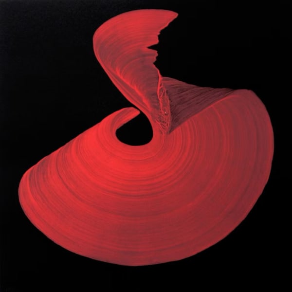 Najia Mehadji, Danse mystique, 2013