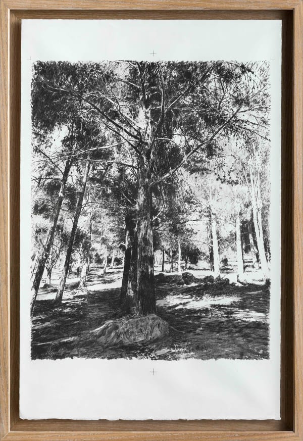 ABDELKÉBIR RABI, Boulemane 2 - L`Arbre , 2024