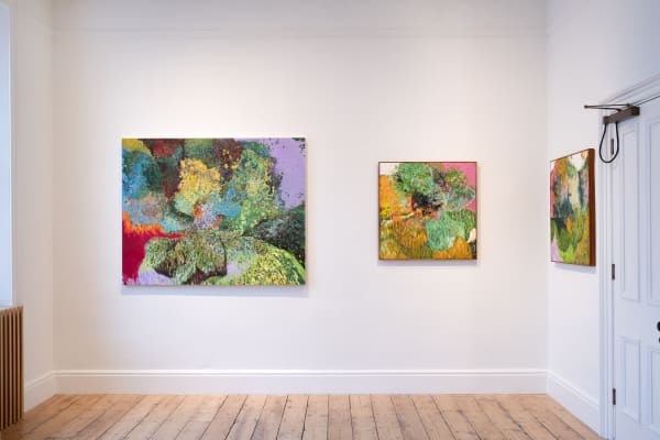 Connie Harrison Installation Image 5 Hi Res