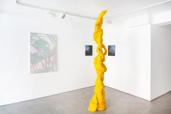 Installation 1 Hires