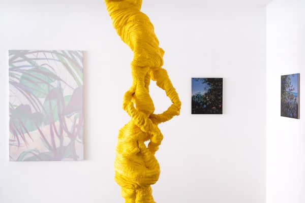 Installation 7 Hires