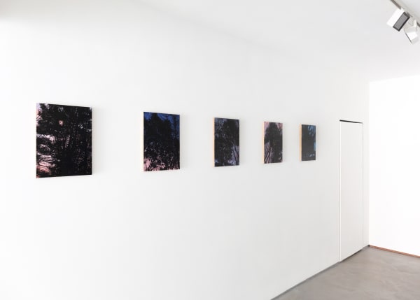 Onaclearday Installationimage7 Lowres