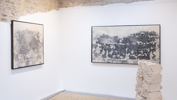 Fernando Casasemere Ruins Installation Image Ii Hires Cropped