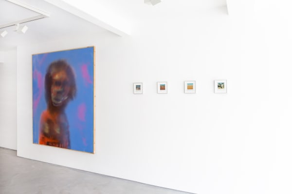 Polaroids Sir Sidney Nolan