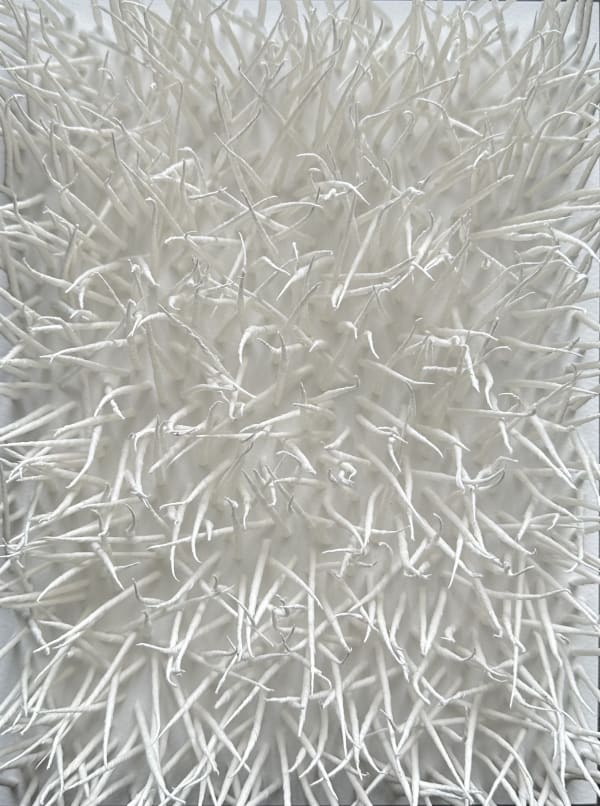 Gleb Skubachevsky, Alien creature, 4, 2024