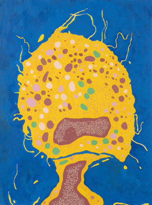 Gleb Skubachevsky, Macrophage cell, 2025